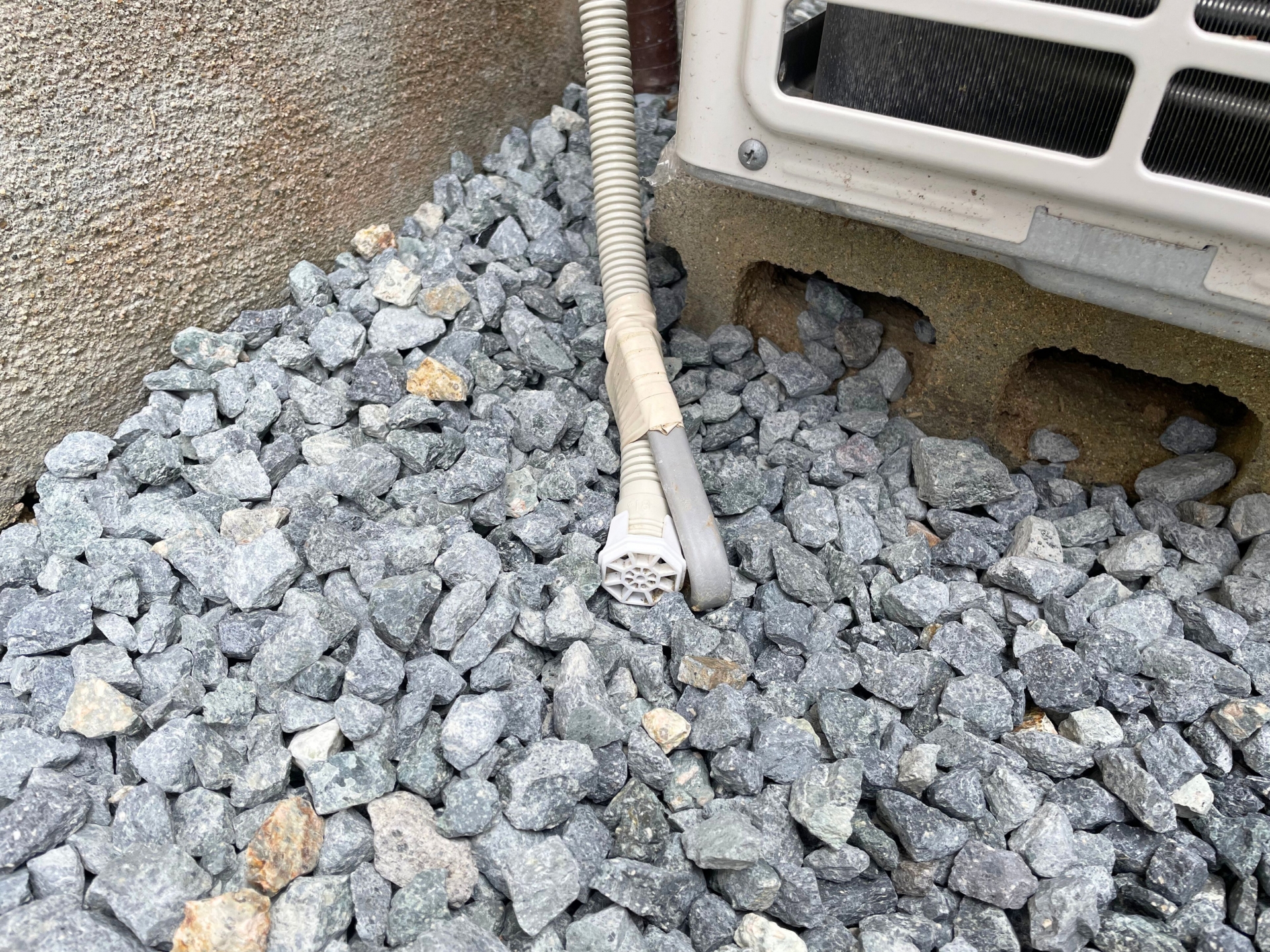 カメムシを寄せ付けないための対策