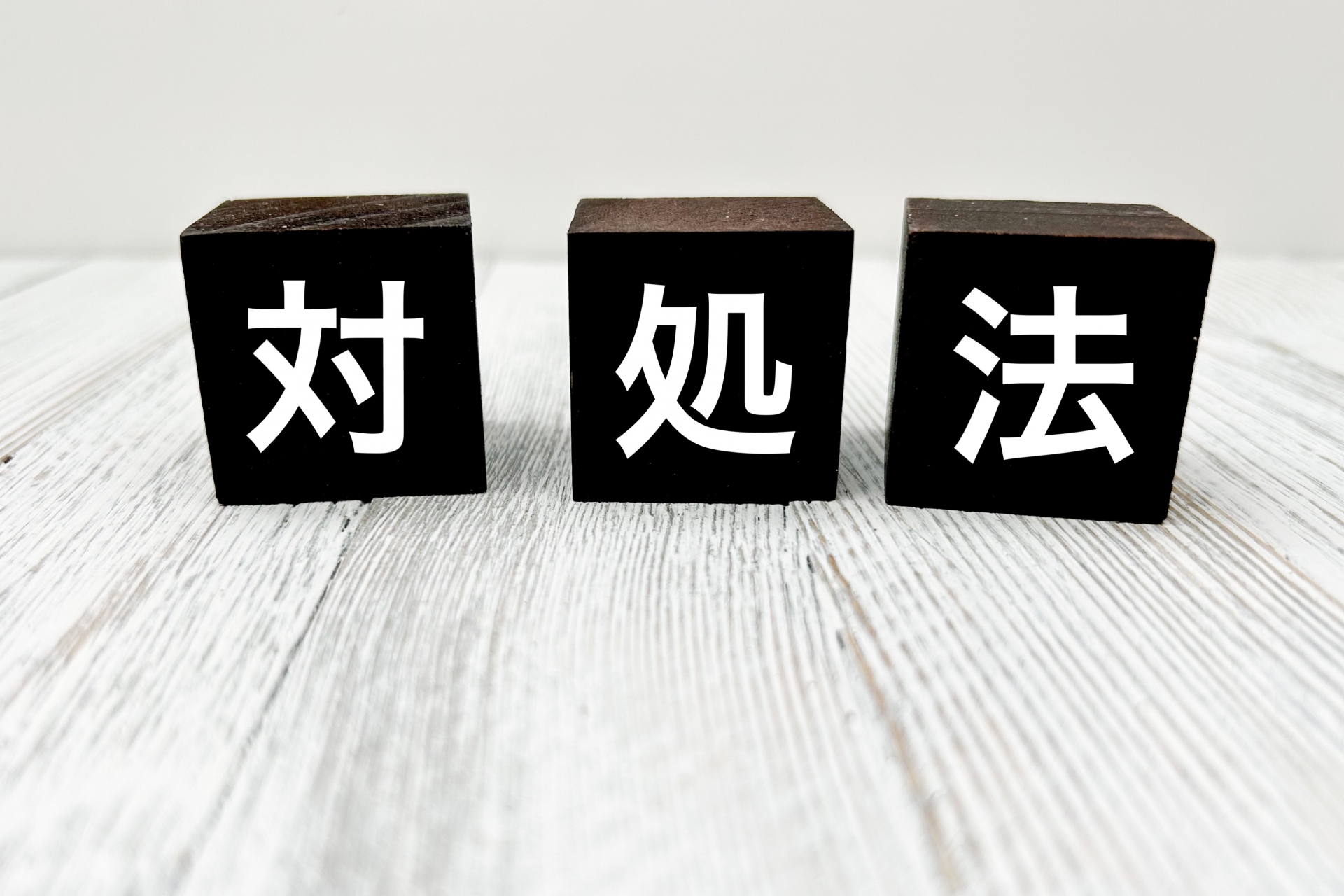カメムシの悪臭が付いたときの対処法