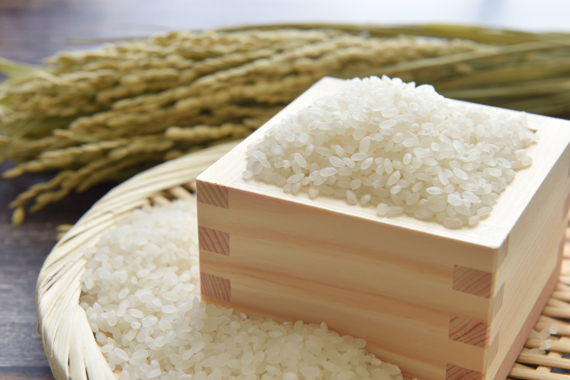 そもそも「無洗米」とは？