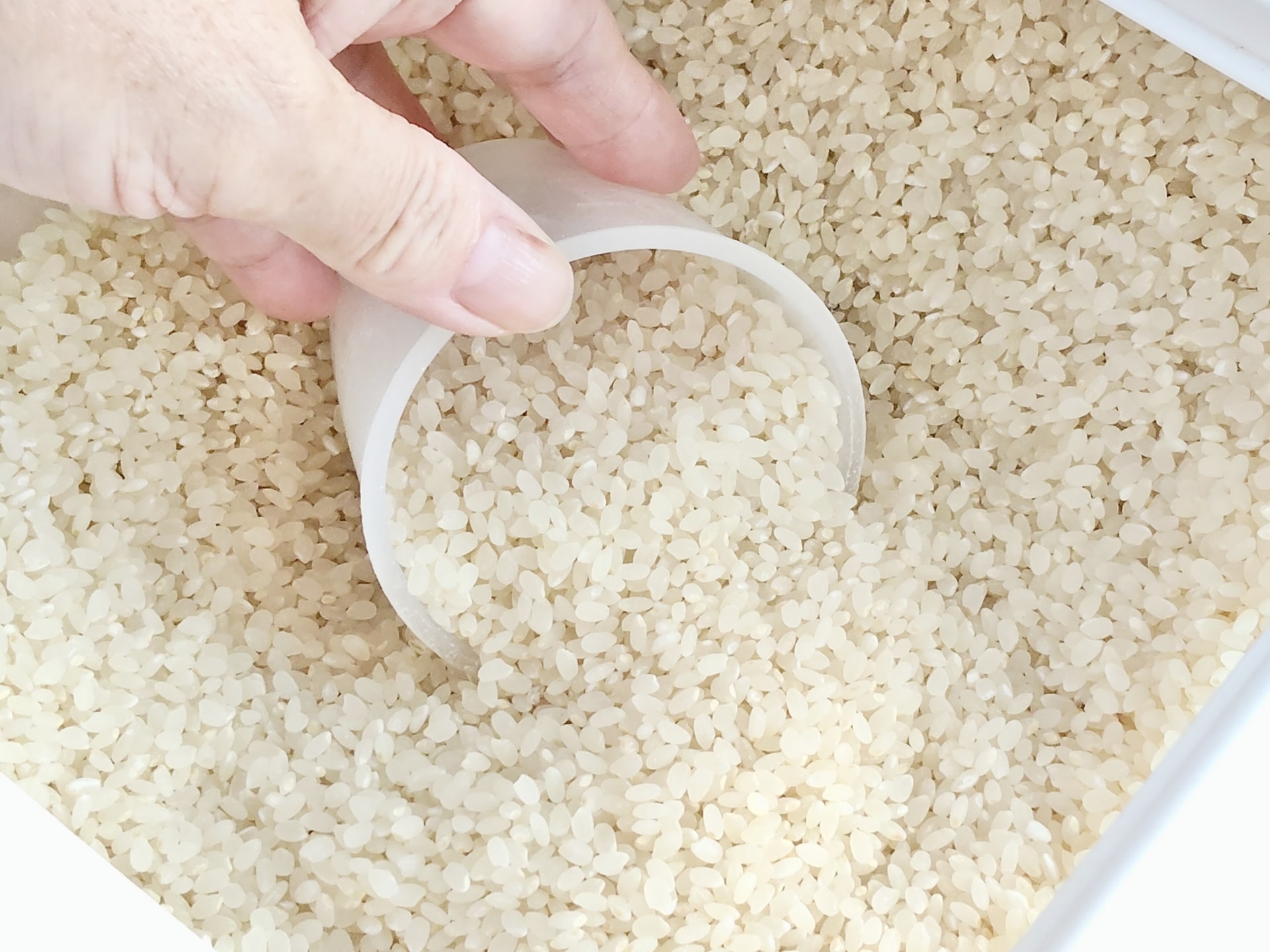 無洗米の正しい保存方法