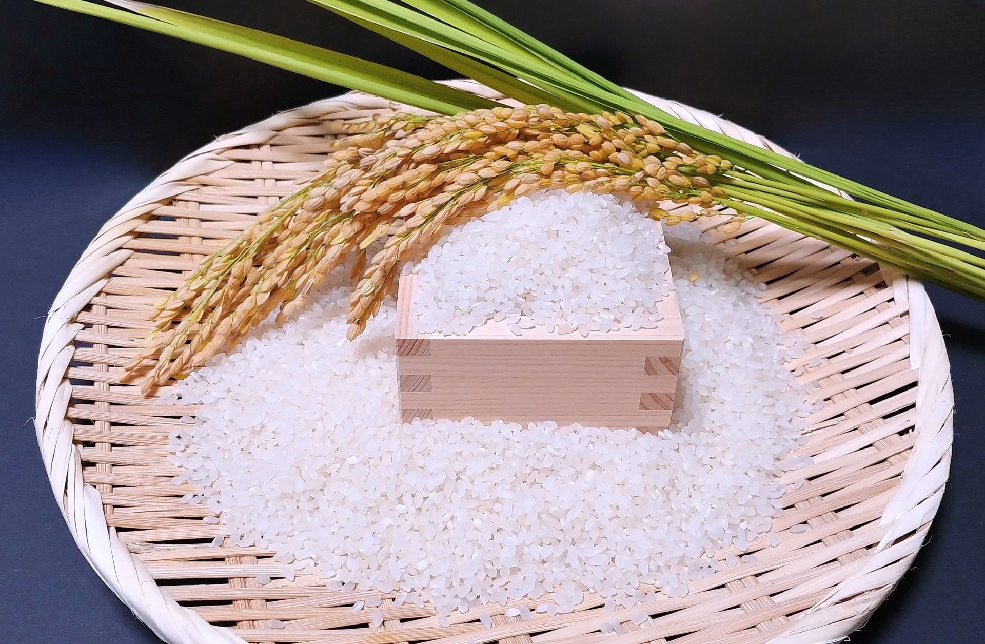 お米の保存環境が大切な理由