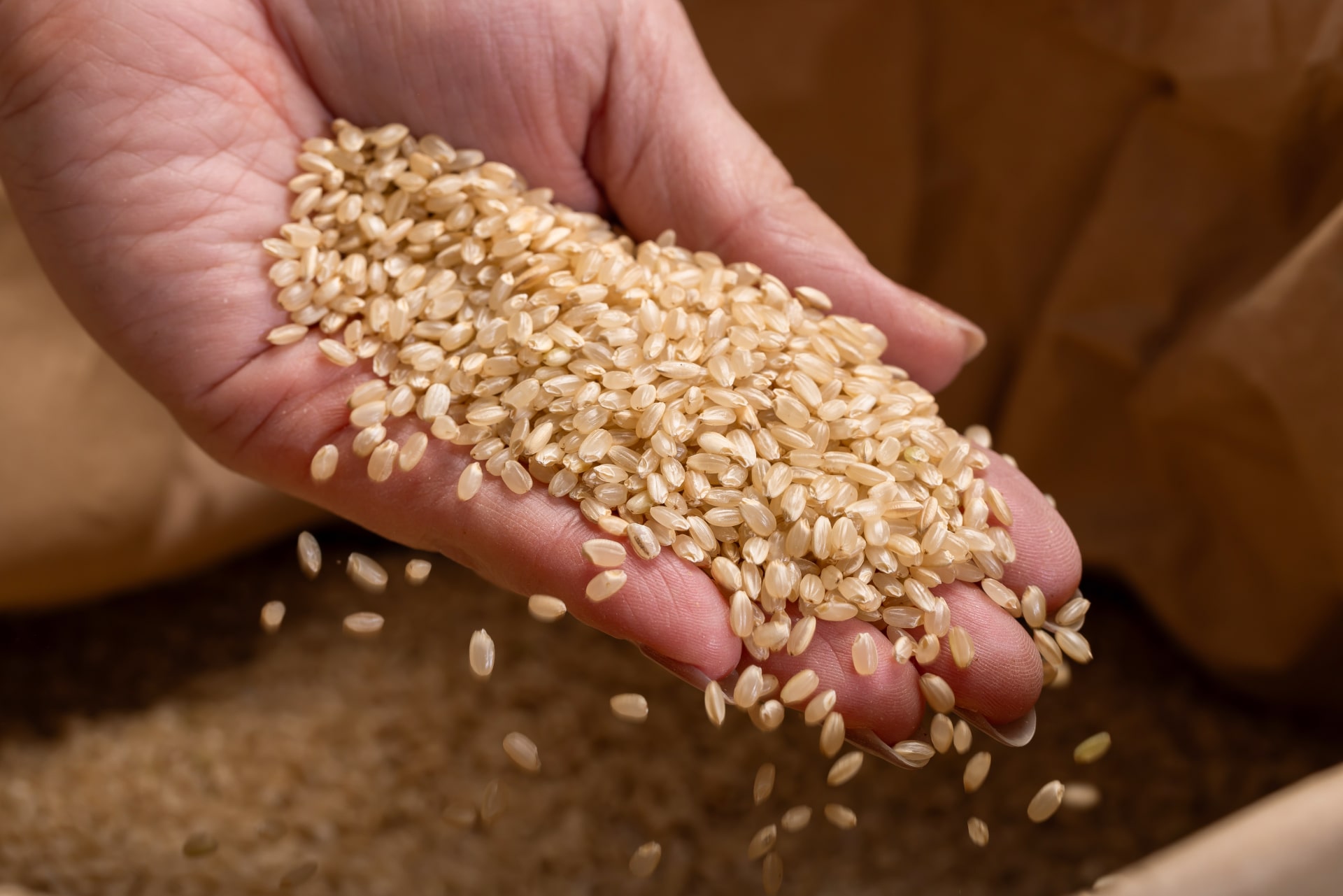 玄米を長持ちさせる基本の保存方法