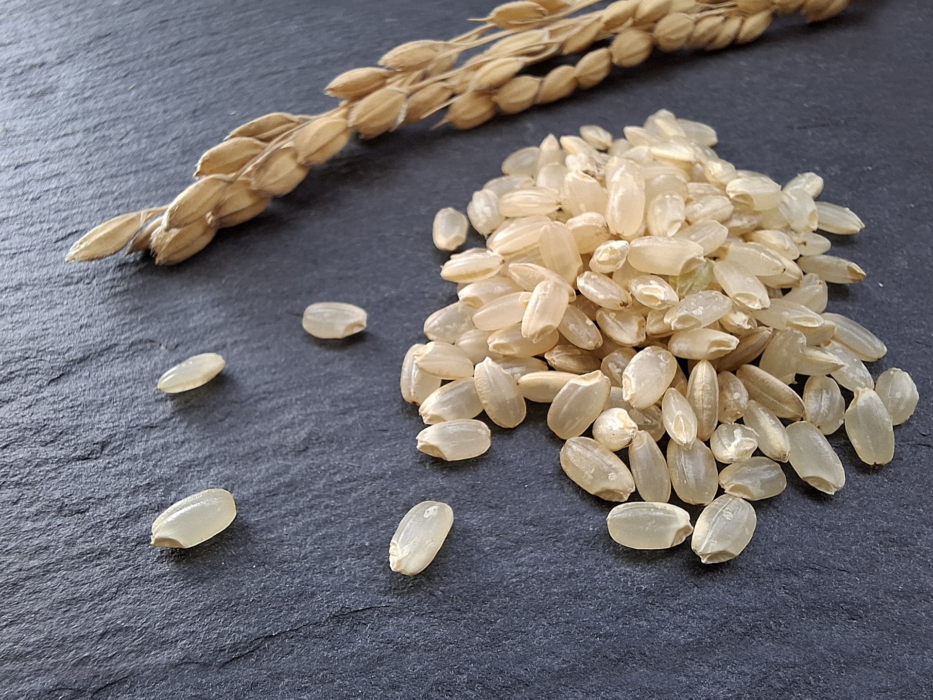 玄米の特徴と保存リスク