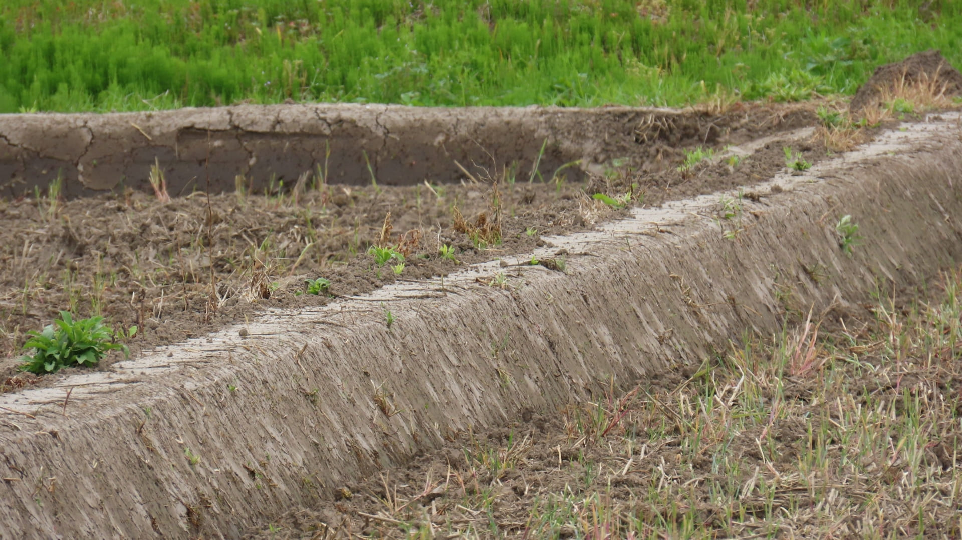 まとめ：畦塗りは地味だけどお米づくりの土台