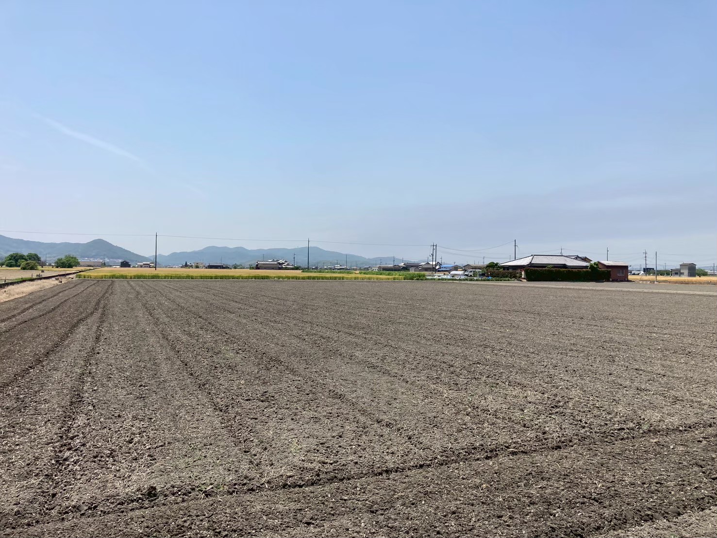 まとめ：田起こしの目的と効果を理解しよう