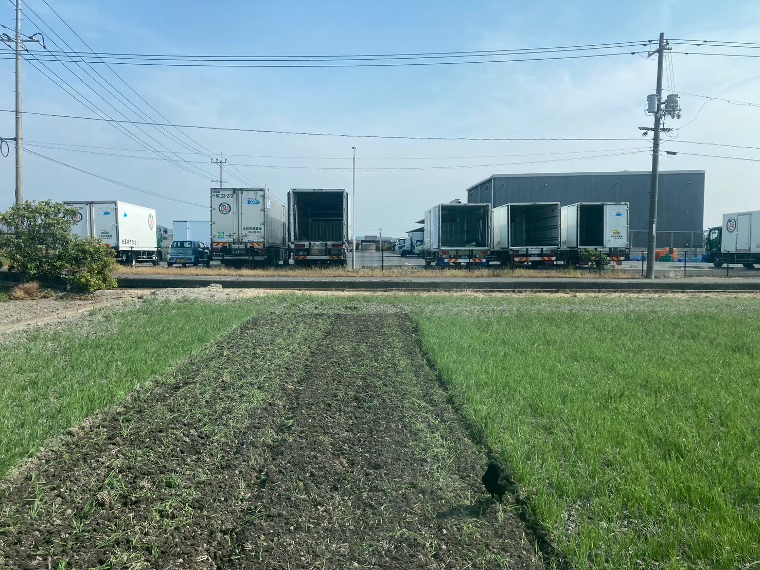 田起こしを行う3つの主な目的