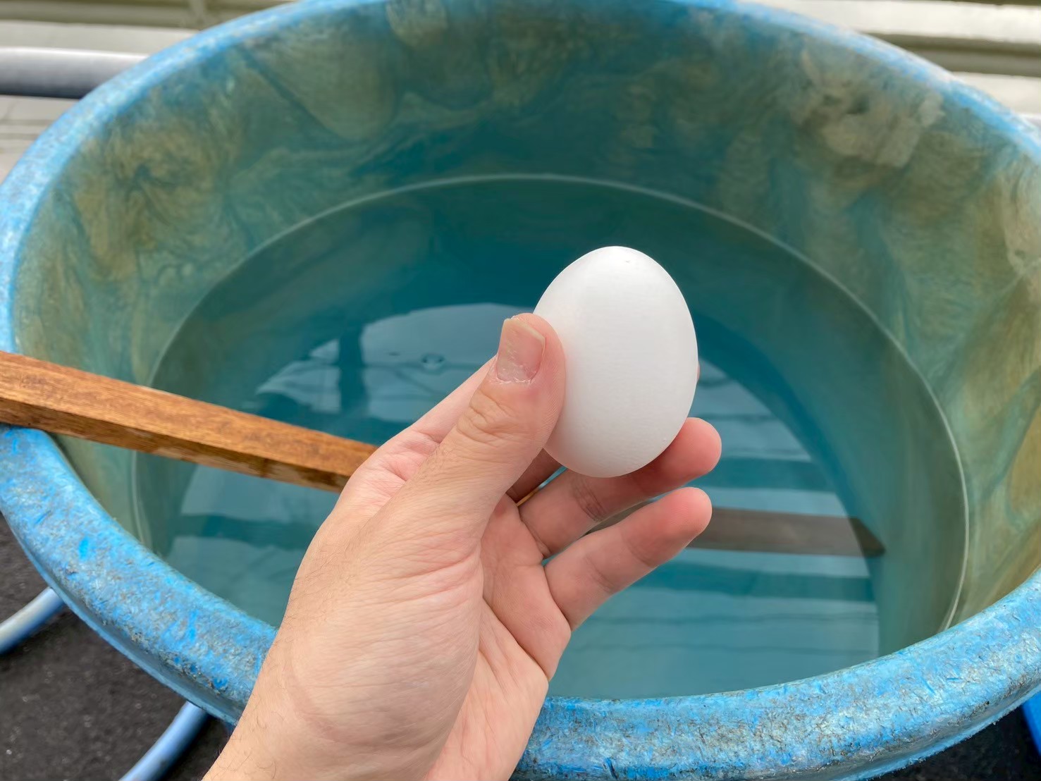 当農園の塩水選と種子消毒