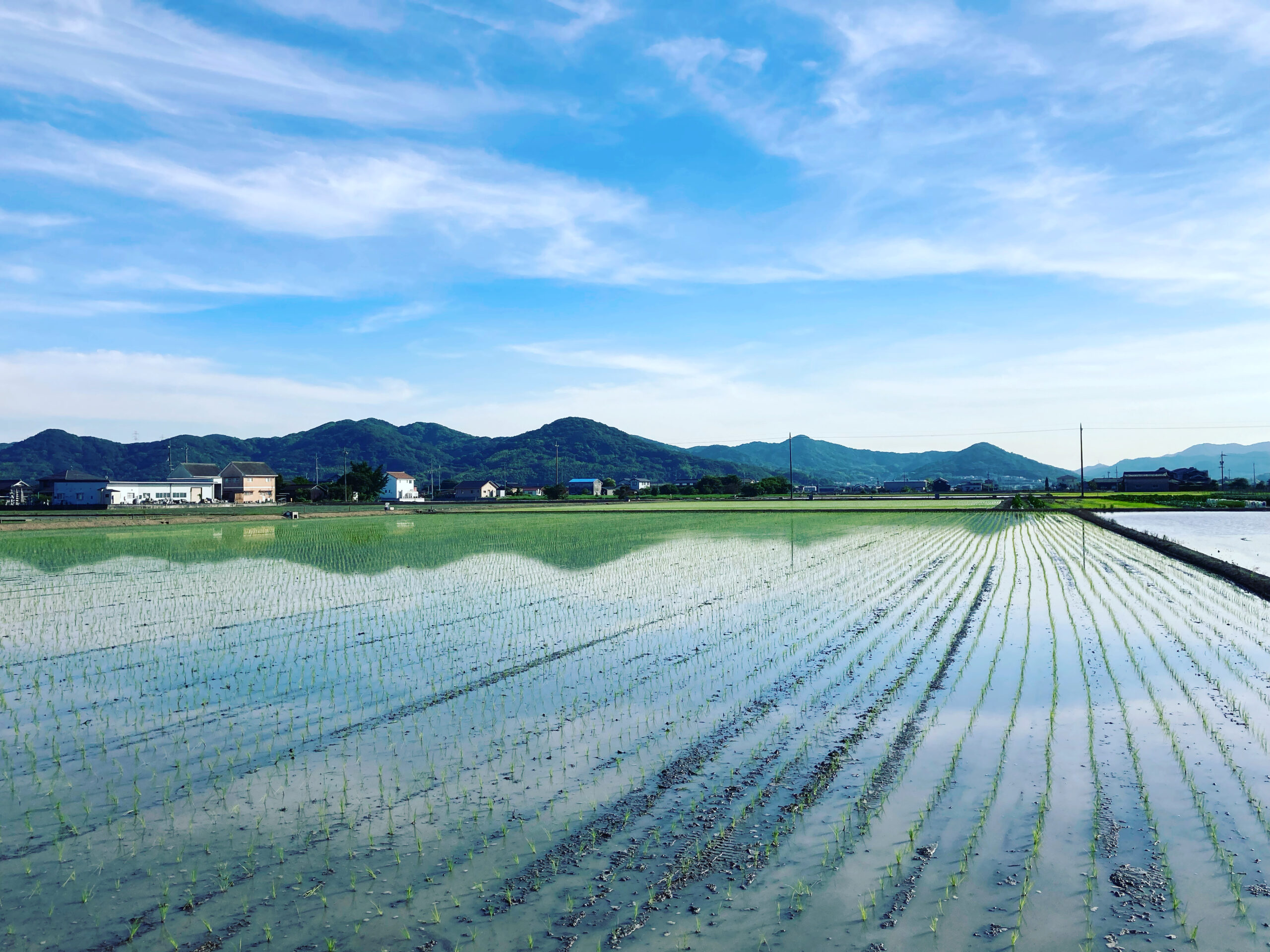 農業と環境は切り離せない関係
