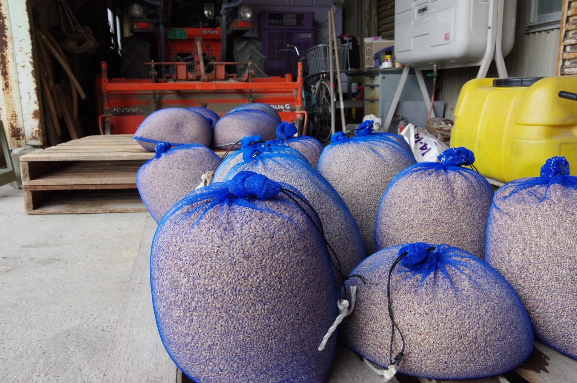 農家が考える芽出しの重要性