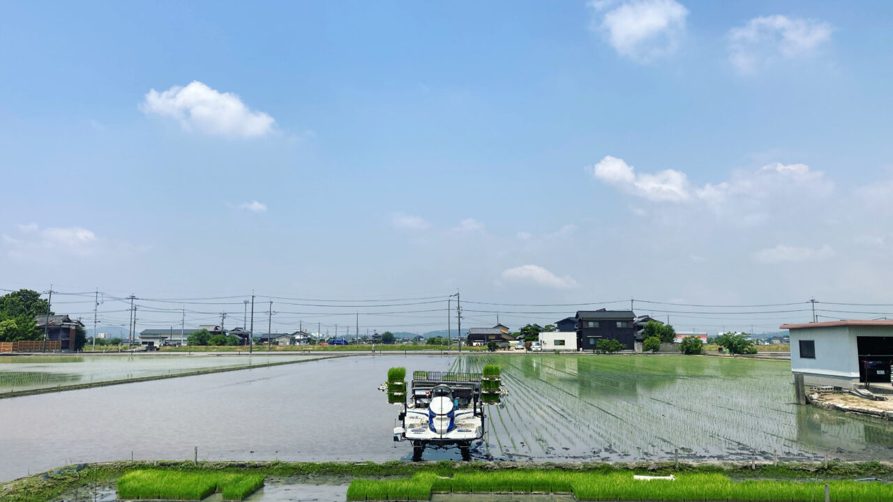 代かきから田植えまでの流れ