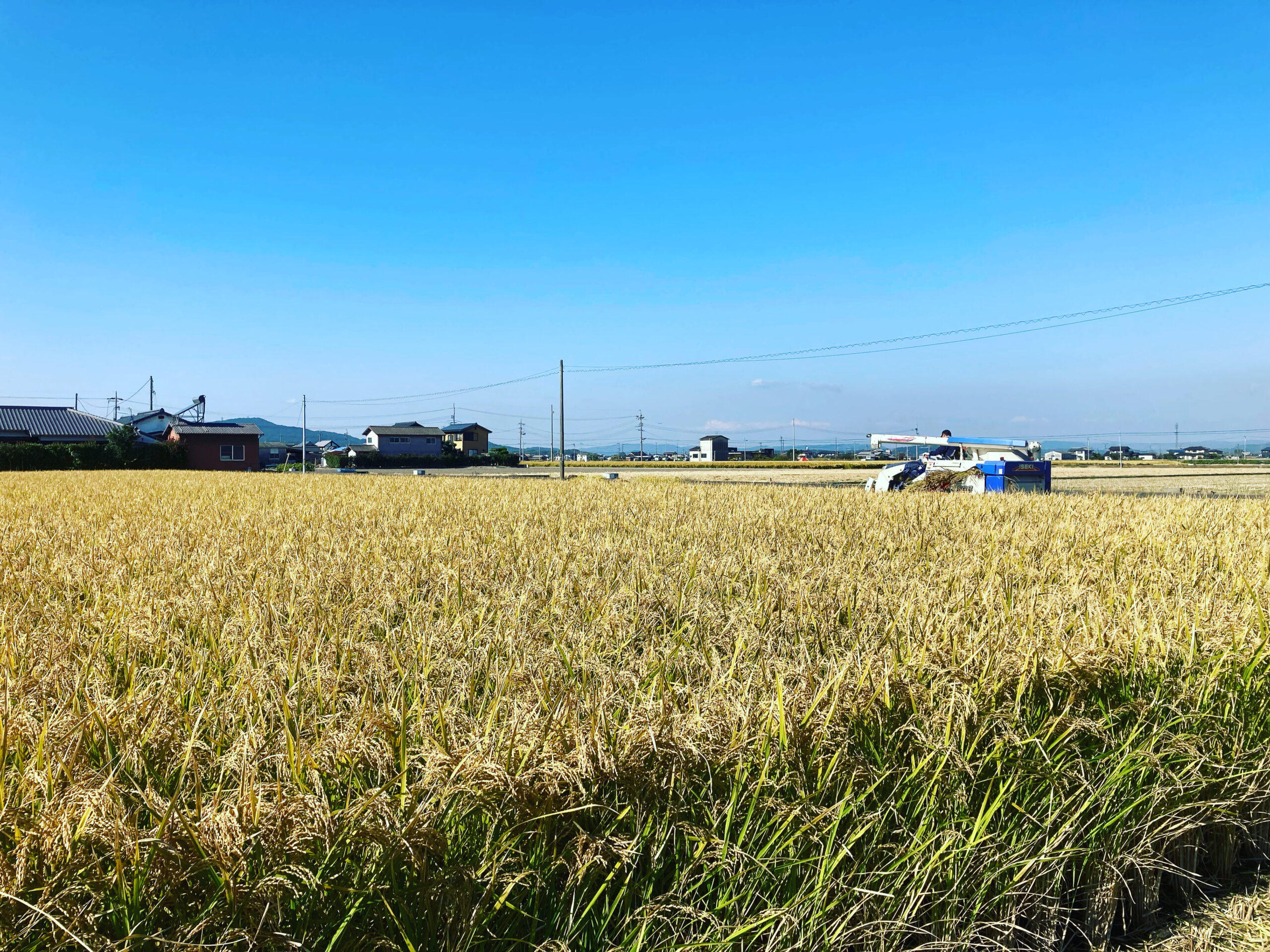 農業の現場で感じている環境の変化