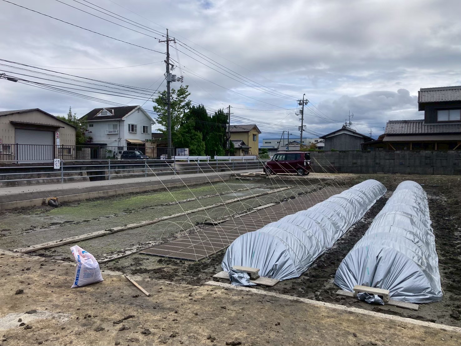 播種のポイント