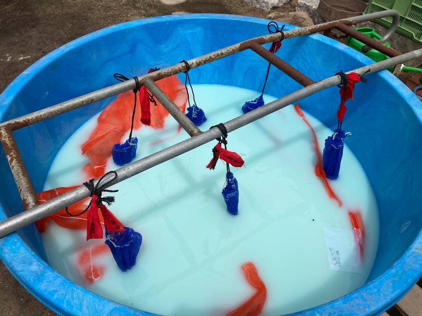 塩水選と合わせて行う種子消毒