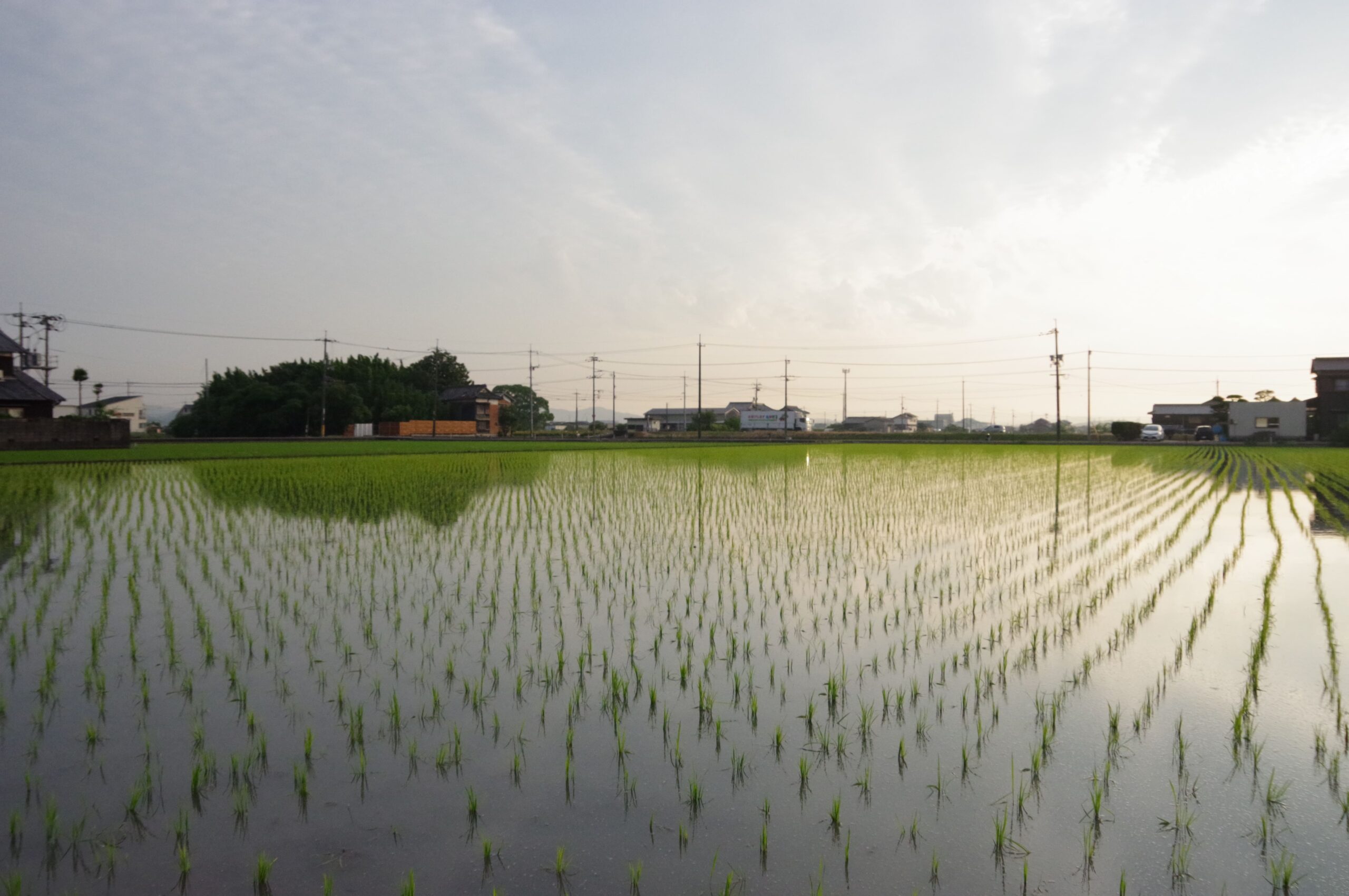兼業農家のリアル｜代かき・田植えはここが大変