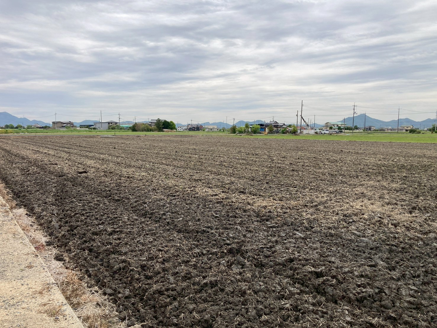 今年の春は雨が多い！