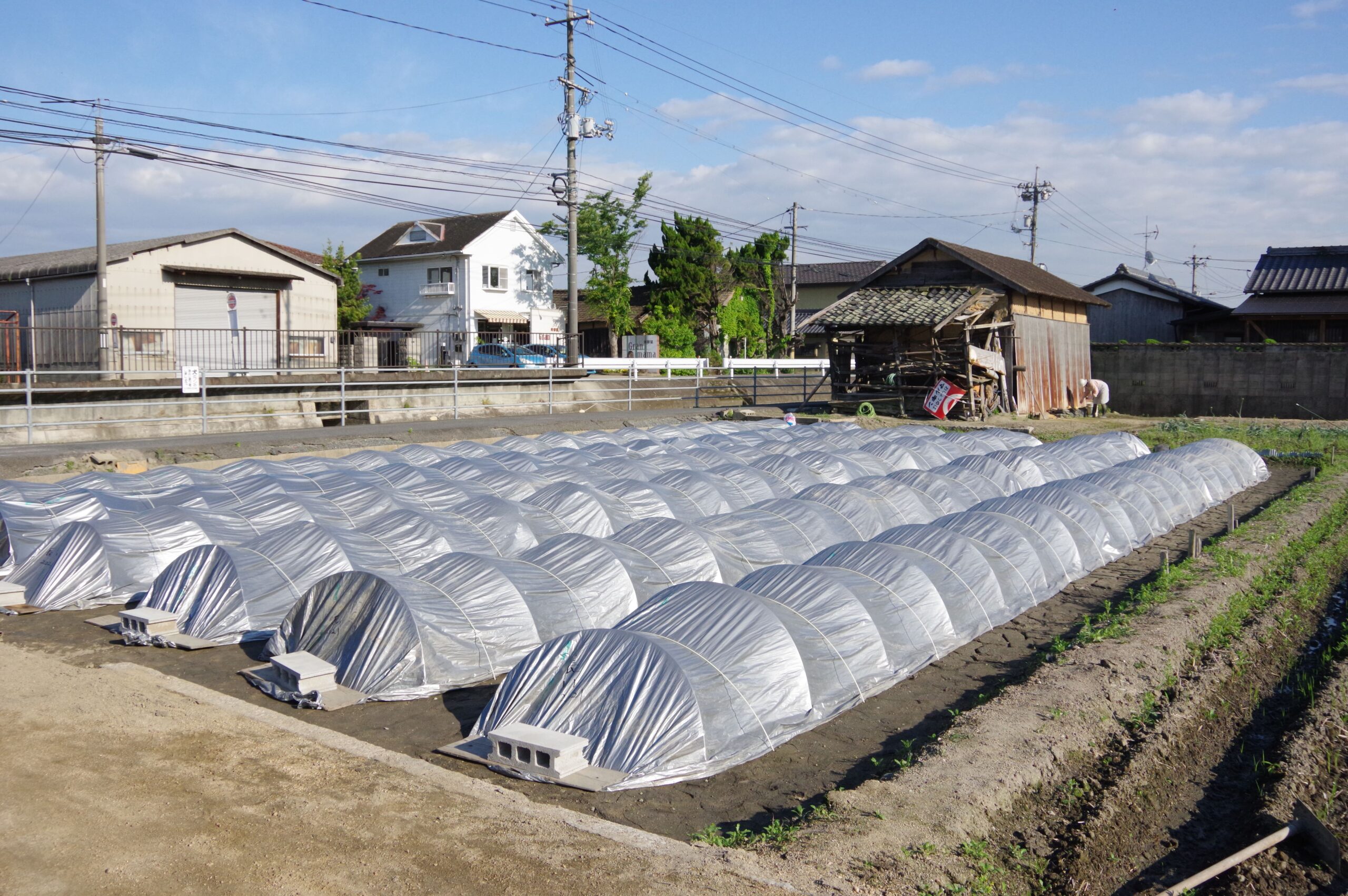 稲作育苗の全体像