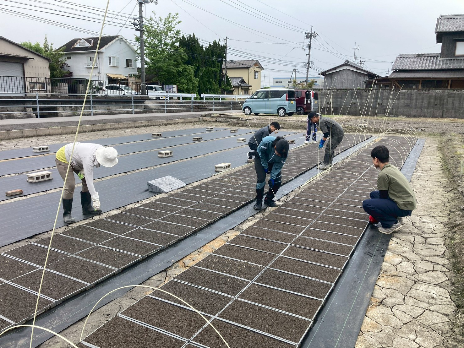 みんなで並べてトンネルをかける