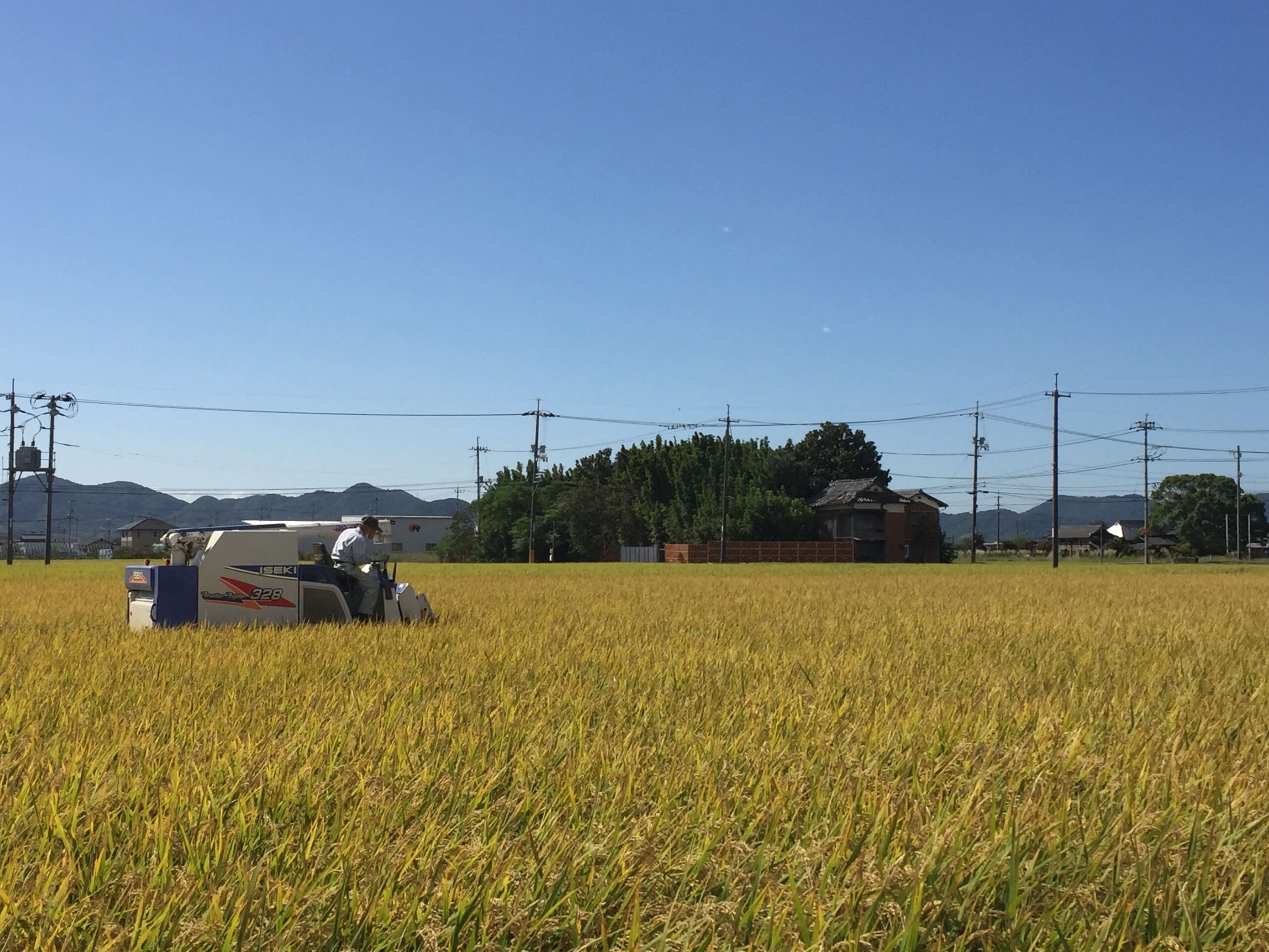 購入先による違い