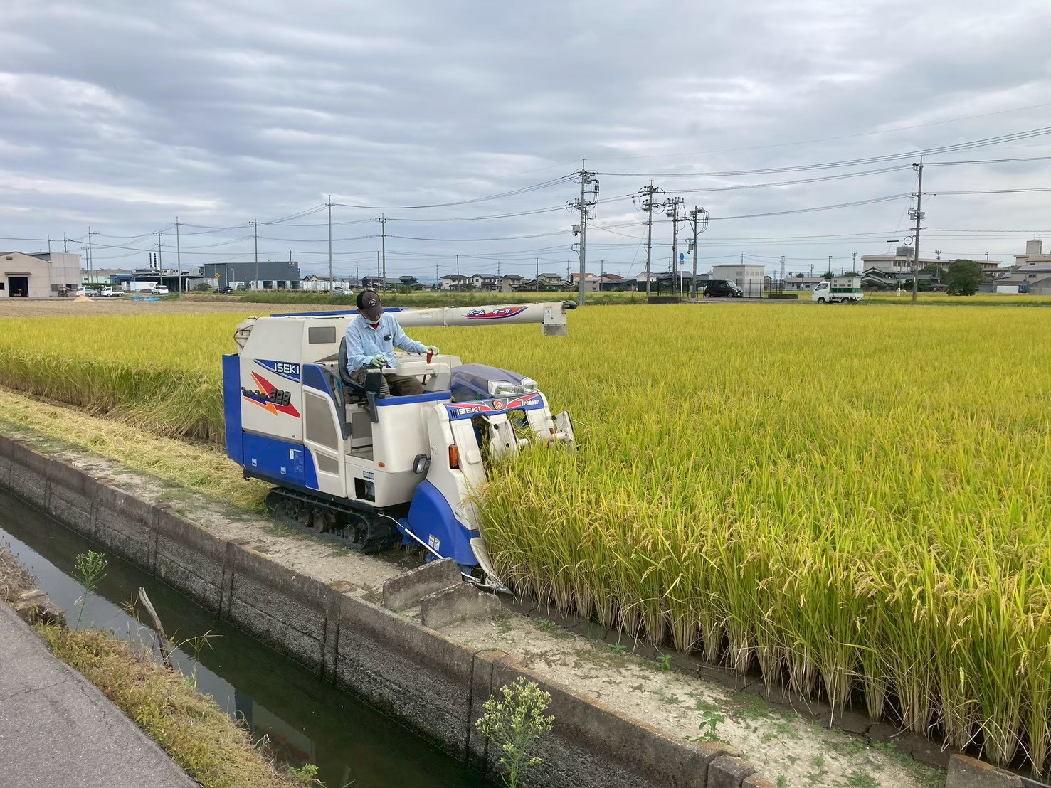 稲刈りの作業と現場の様子