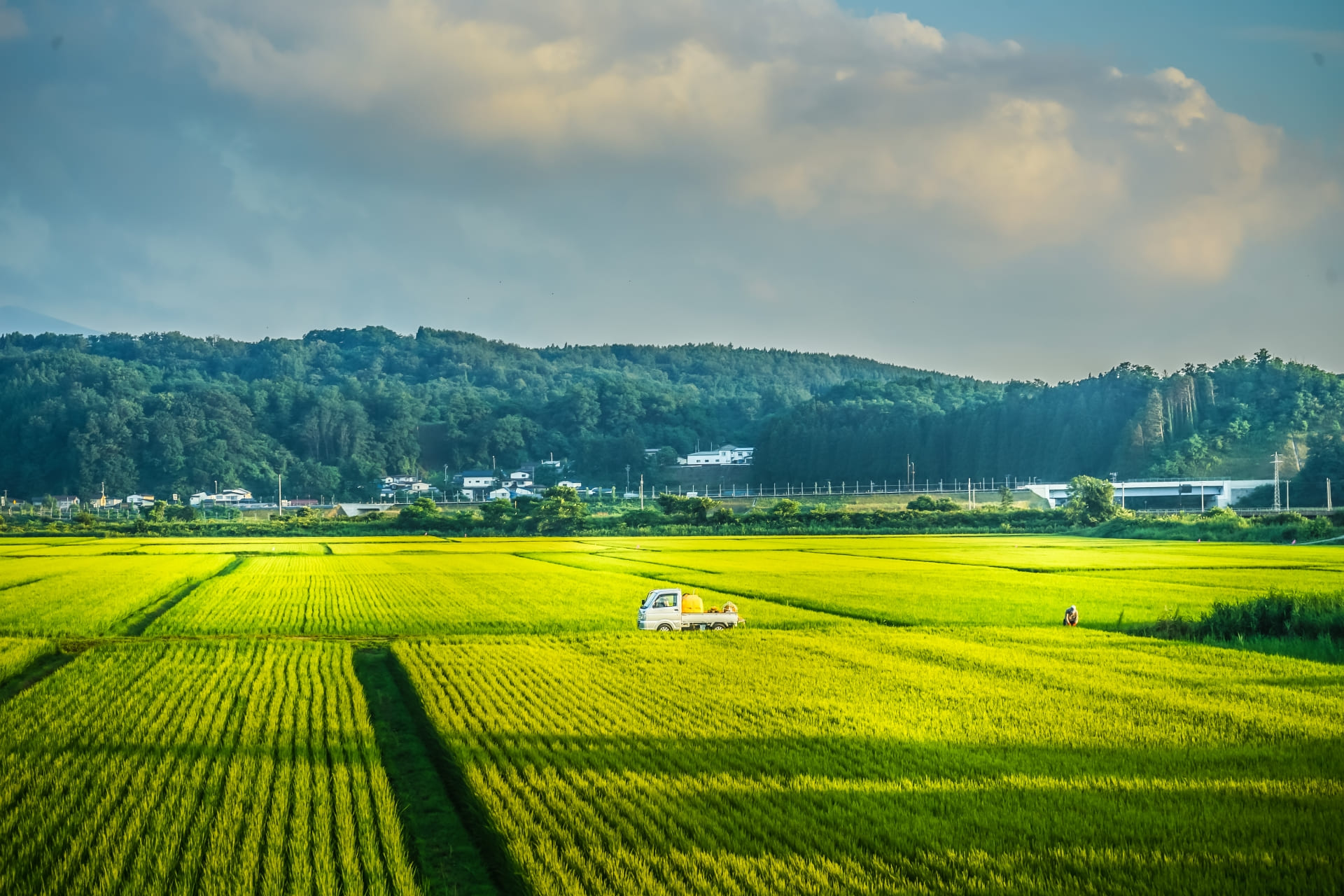 青天の霹靂の基本情報