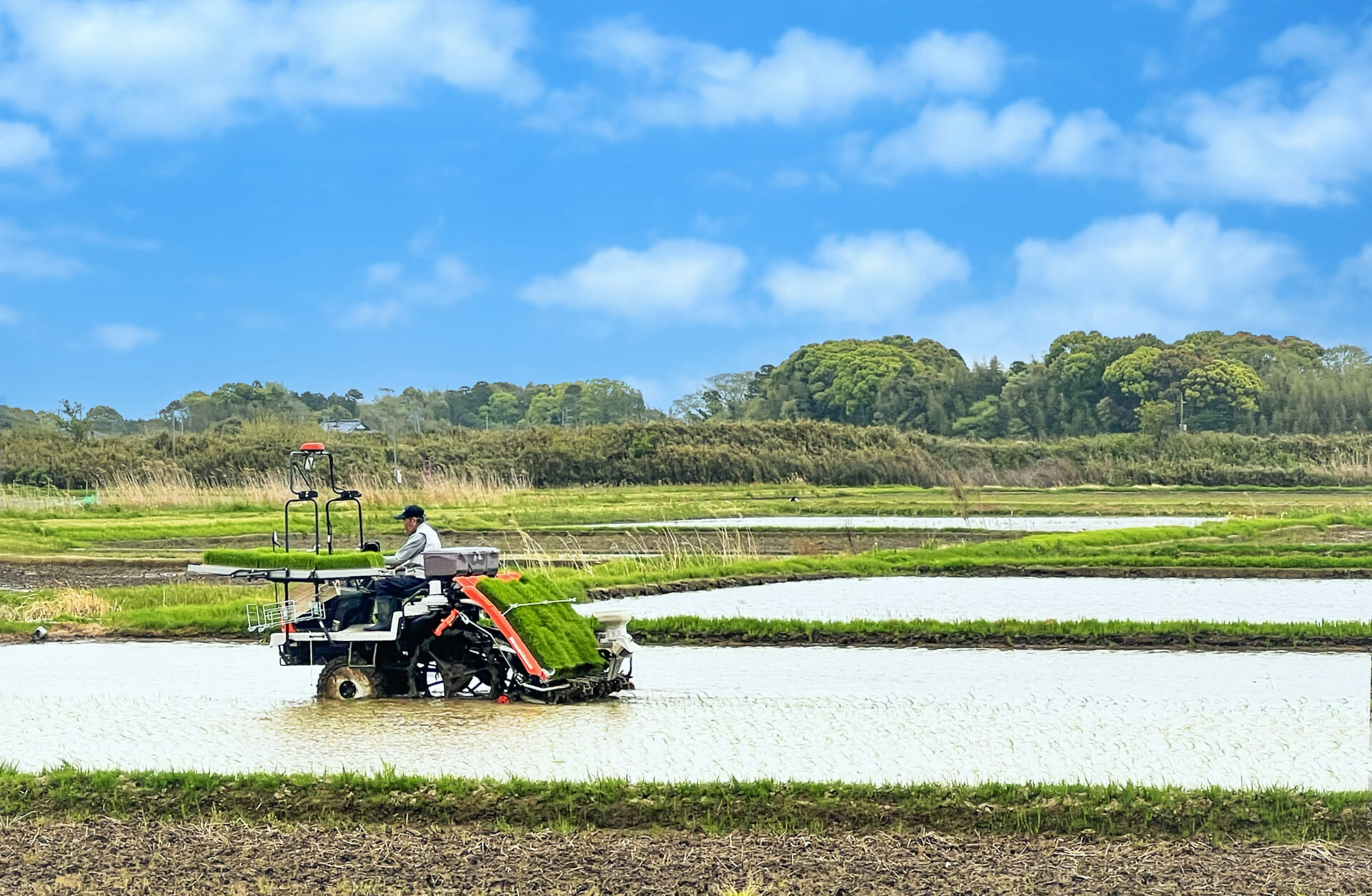 主な産地と広がる取り組み