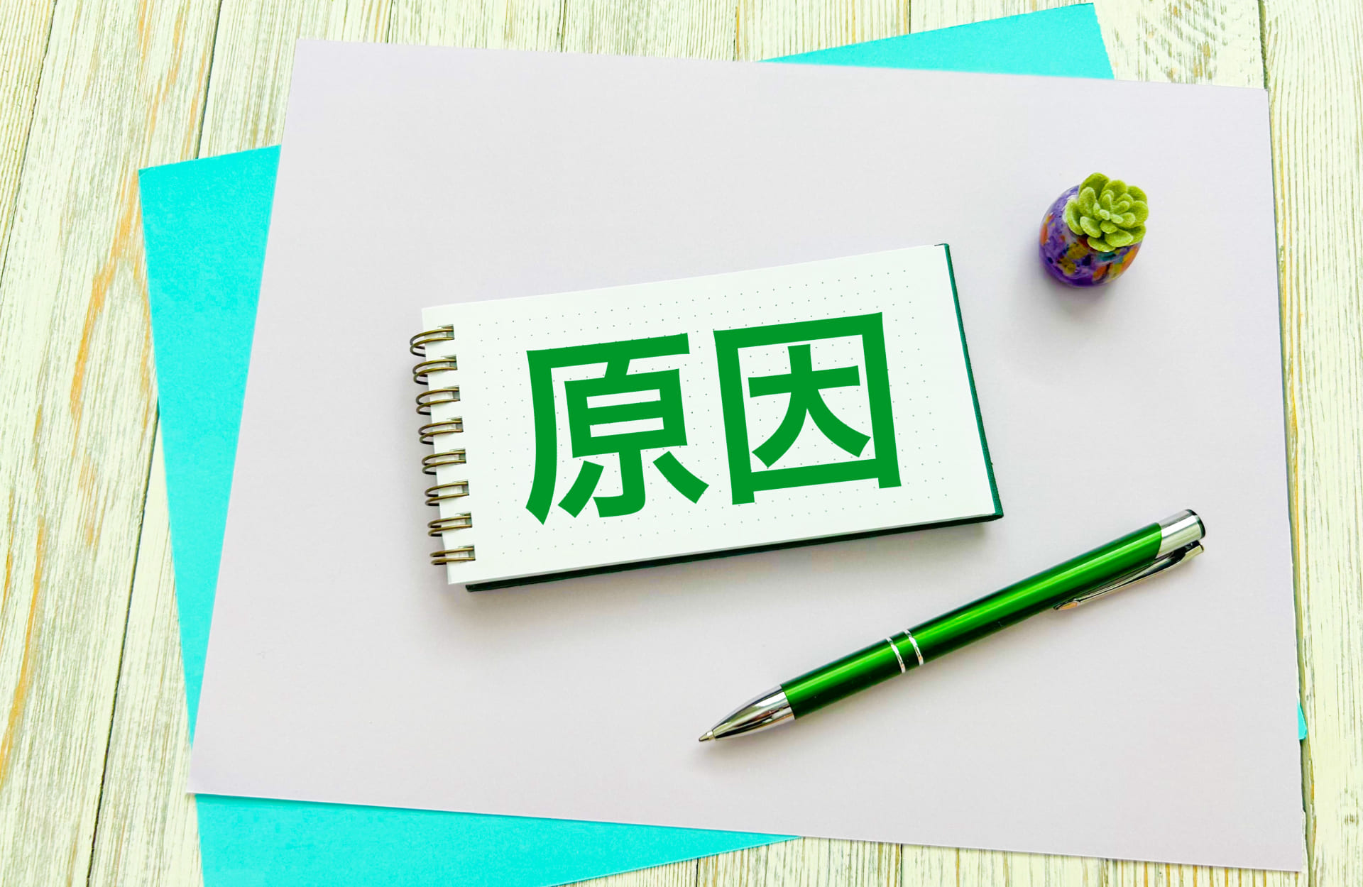 お米に虫がわくのはなぜ？