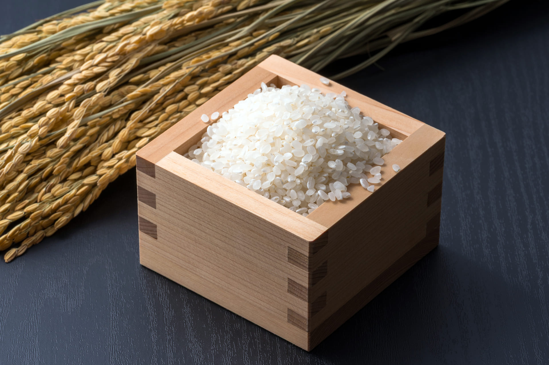 まとめ｜お米は密閉して冷蔵庫で保存しよう