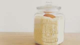 お米の保存方法とは？鮮度維持のコツや季節別の注意点を解説