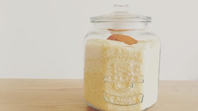 お米の保存方法とは？鮮度維持のコツや季節別の注意点を解説