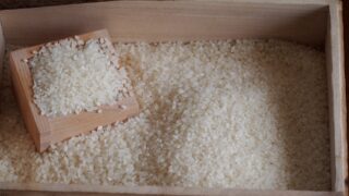無洗米の正しい保存方法とは？虫・乾燥・酸化を防ぐ家庭でできる対策