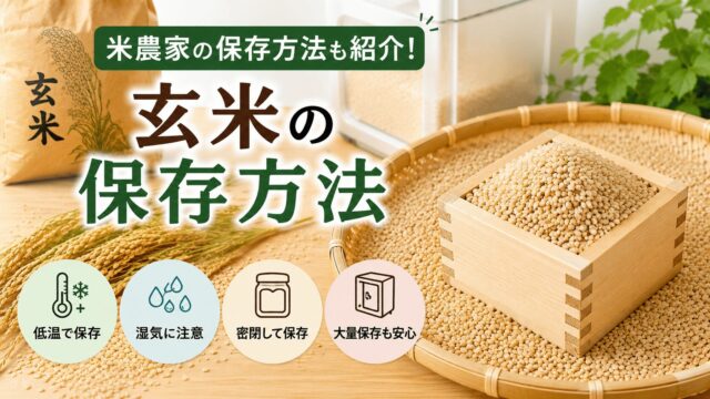 玄米の保存方法を解説｜冷蔵庫・常温で長持ちさせるポイント