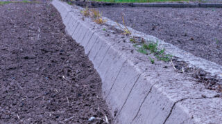 畦塗りとは？目的・効果を農家が解説｜水管理を支える田んぼの重要作業