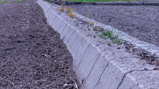 畦塗りとは？目的・効果を農家が解説｜水管理を支える田んぼの重要作業