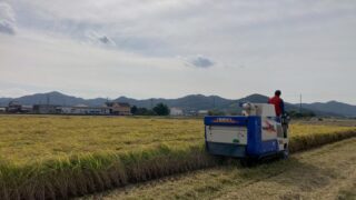 お米づくりの流れ｜稲刈りの後お米はどうなる？収穫後の流れと届け方