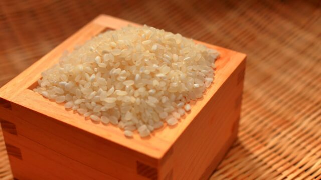 お米の品種「ササニシキ」の特徴やコシヒカリとの違いを解説