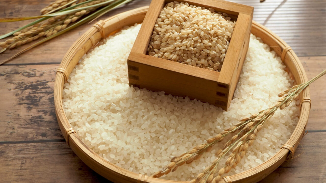 ヒノヒカリの特徴とは？味や食感、コシヒカリとの違いを解説