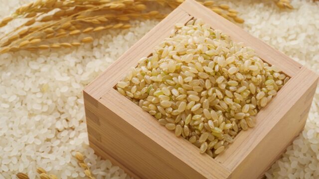 お米の品種「亀の尾」の特徴とは？幻のお米と呼ばれる理由や歴史を解説
