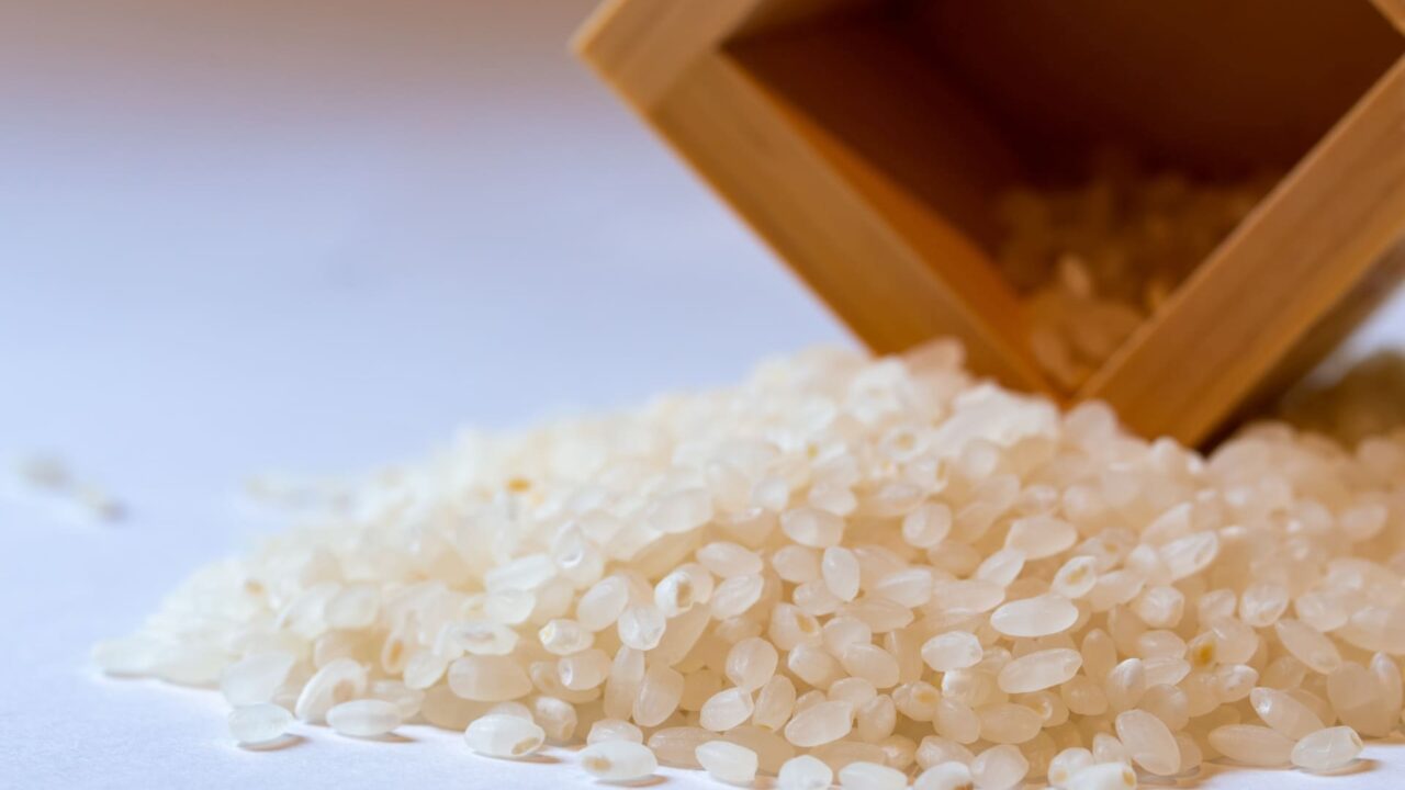 「はえぬき」とはどんなお米？味や食感、つや姫・雪若丸との違いを解説