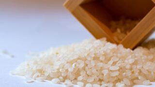 「はえぬき」とはどんなお米？味や食感、つや姫・雪若丸との違いを解説