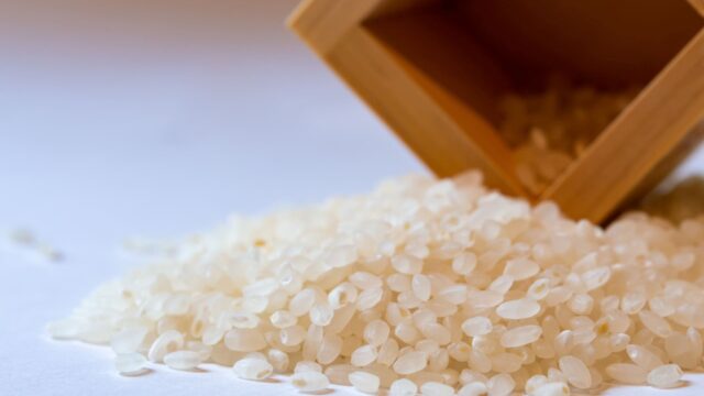 「はえぬき」とはどんなお米？味や食感、つや姫・雪若丸との違いを解説