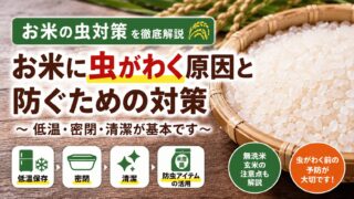 お米の虫対策を解説！虫がわく原因・予防方法・発生したときの対処法