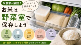 袋のままでもいいの？お米の野菜室での保存方法を解説